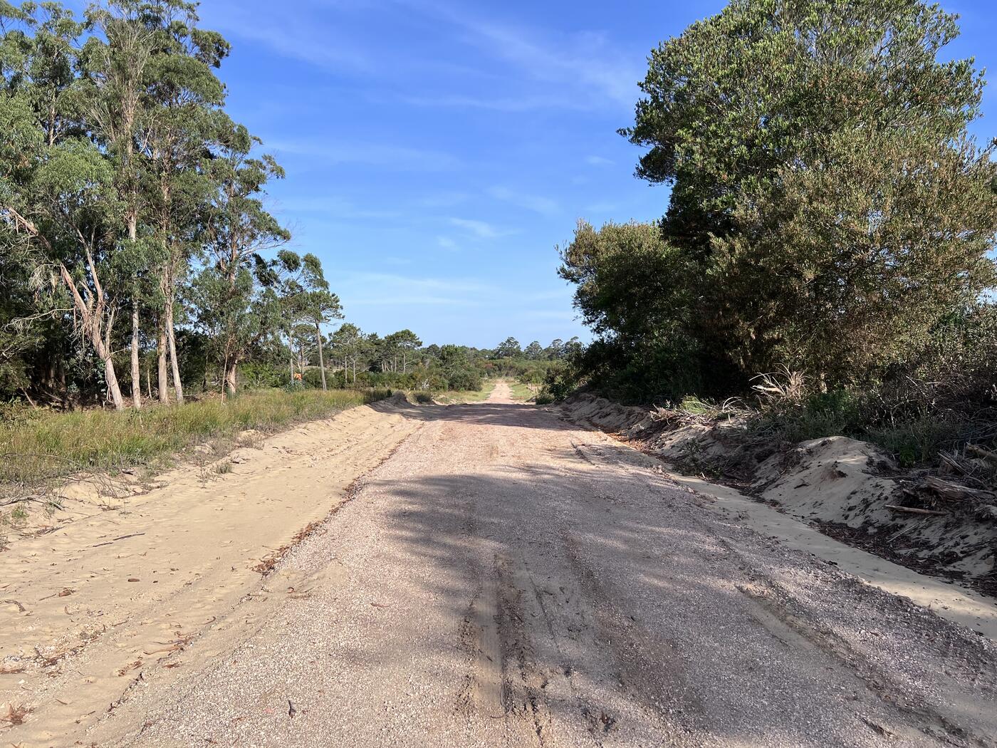 Camino de balastro hacia los terrenos